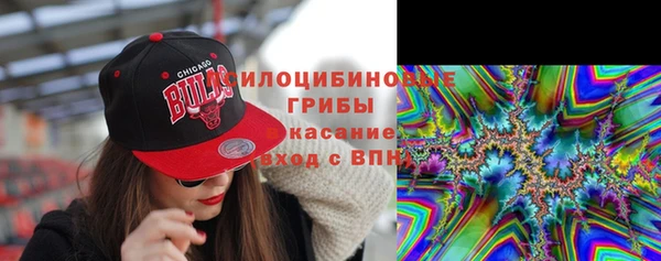 соль ск Абдулино