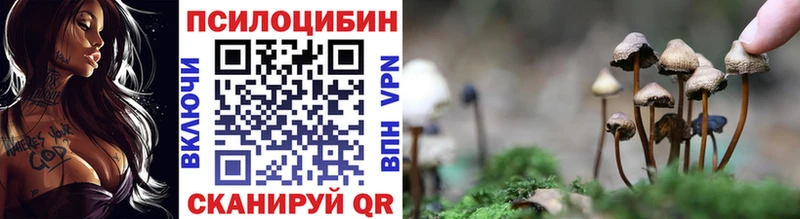 Галлюциногенные грибы Psilocybe  цена   Ртищево 